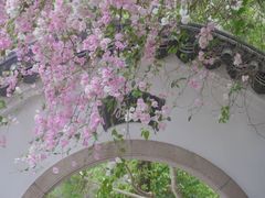 -深圳国际园林花卉博览园