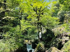 -龙苍沟森林公园