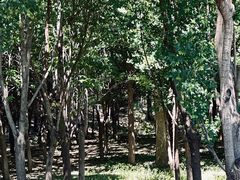 -北坞公园