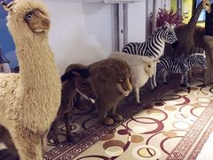 -国家会议中心大酒店-地上停车场