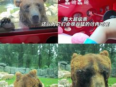 -北京野生动物园