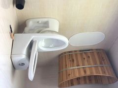 -金山农民画村-枫泾波兰倒置屋
