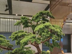 -聆桂烤鸭·金奖烤鸭(静联广场店)