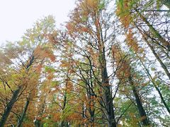 -艾溪湖湿地公园