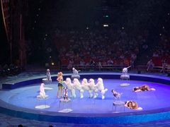 -珠海横琴长隆《卡卡虎奇遇记》