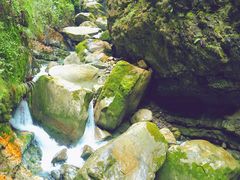 -鹿院坪生态旅游景区