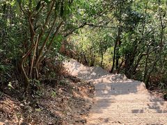 -梧桐山风景名胜区