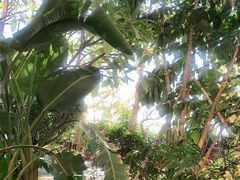 -厦门途易蓝罗约海景温泉酒店(园博苑地铁站店)