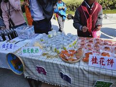 -金陵中学(河西分校)