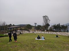 -铁山坪森林公园