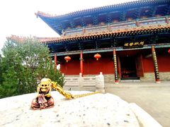 -大槐树寻根祭祖园