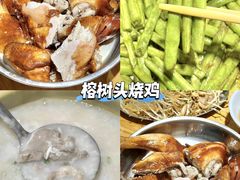 -大湾区中央湿地公园