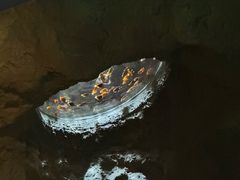 -珠海长隆海洋王国