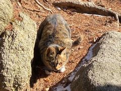 -崂山巨峰游览区