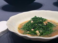 -子福慧(虹桥店)
