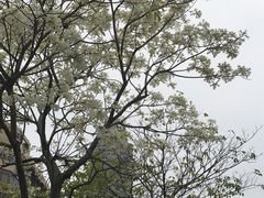 -铁军公园