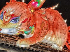 -横店影视城梦幻谷园区