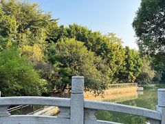 -小洲村