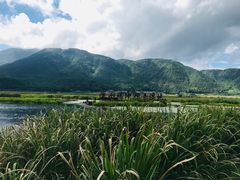 -腾冲北海湿地