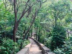 -碓臼峪自然风景区