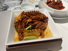 -梅飞酒家(桑园路店)
