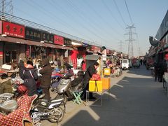 -中环花鸟鱼虫市场