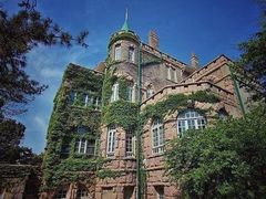-八大关景区