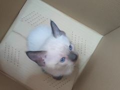 -宠颐生·恒爱宠物医院(静海店)