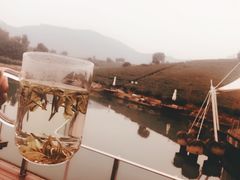 -帐篷客·溪龙茶谷度假酒店