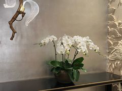 -洋洋中餐馆·SINCE 1997(龙湖星湖天街店)