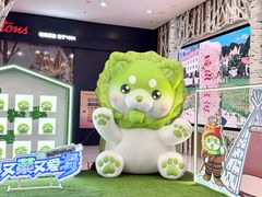 -哈尔滨热雪奇迹