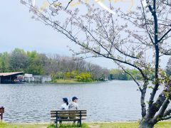 -上海共青森林公园