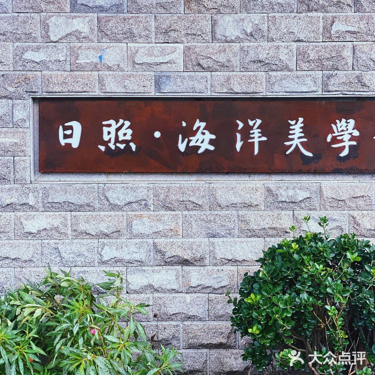 日照攻略｜隐藏在海边的图书咖啡馆，爱了吗？