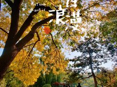 -宣武艺园