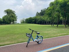 -顺峰山公园
