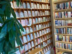 -猫的天空之城概念书店(丽江古城饮玉巷店)
