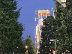-秋叶原电器街
