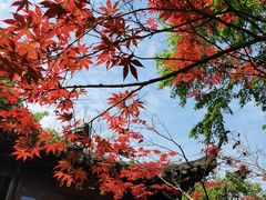 -郭庄景区