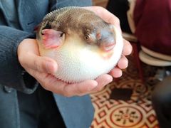 -永安鱼庄·镇江菜(丁卯店)