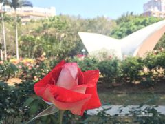 -人民公园(罗湖区)