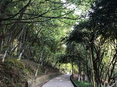 -峙山公园