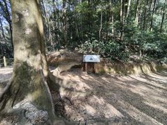-广州市帽峰山景区