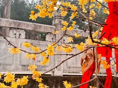 -报恩禅寺