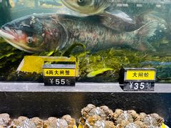 -龙宴海鲜城(经中路店)
