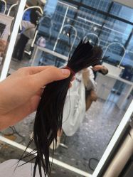 -MY HAIR ARDOR