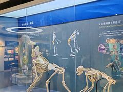 -国家自然博物馆