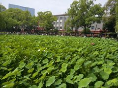 -四川大学(望江校区)