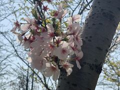-苏州太湖国家湿地公园