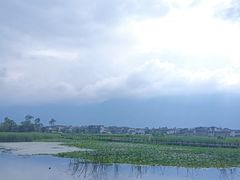 -大理洱海
