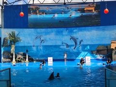 -石林冰雪海洋世界